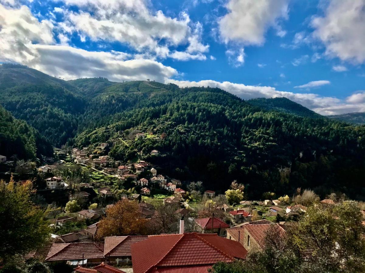 Pritanio Otel Polídhroson Dış mekan fotoğraf